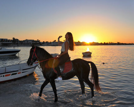 Balade cheval Djerba Activities Dreams