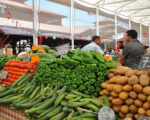 Balade en calèche vers le Marché de Midoun Djerba Activities Dreams