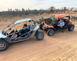 Balade en buggy vers l'ile de flamants roses Djerba Activities Dreams