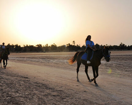 Balade cheval Djerba Activities Dreams