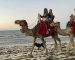 Balade chameau 1h Djerba Activities Dreams