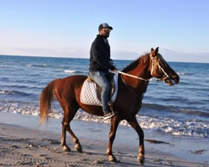CHIWAWA Djerba Activities Dreams