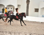Balade cheval Djerba Activities Dreams