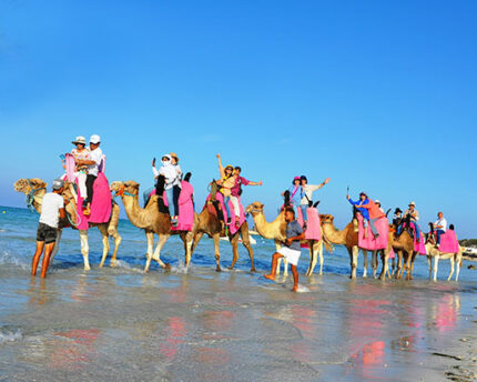 Balade chameau 1h Djerba Activities Dreams