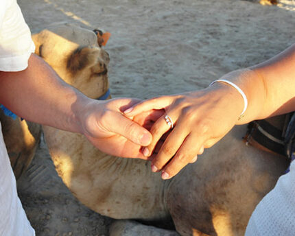 Demande de mariage Djerba Activities Dreams