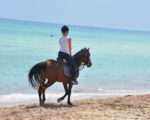 Balade cheval Djerba Activities Dreams