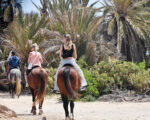 Balade cheval Djerba Activities Dreams