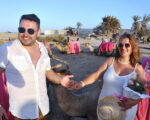 Demande de mariage Djerba Activities Dreams