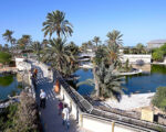Balade en calèche vers le Park de Crocodile Djerba Activities Dreams