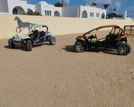 Balade en buggy vers l'ile de flamants roses Djerba Activities Dreams