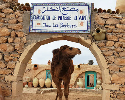 Tour de l'ile Djerba Activities Dreams
