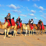Balade Caravane: chameau ,cheval et calèche Djerba Activities Dreams