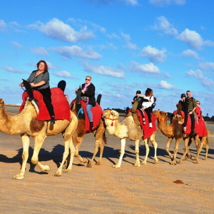 Balade Caravane: chameau ,cheval et calèche Djerba Activities Dreams