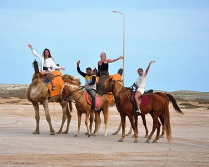 Balade Caravane: cheval ,chameau et calèche Djerba Activities Dreams