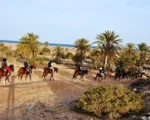 Balade Caravane: cheval ,chameau et calèche Djerba Activities Dreams