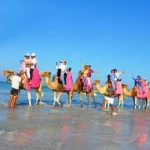 Balade chameau 1h Djerba Activities Dreams