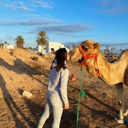 Balade chameau 1h Djerba Activities Dreams