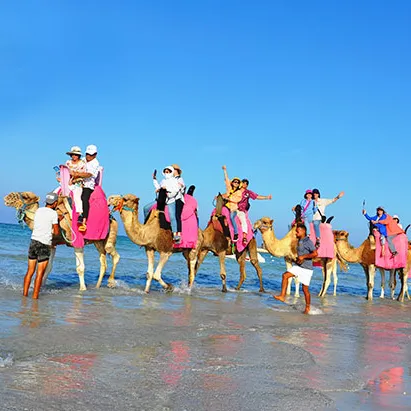 Balade chameau 1h Djerba Activities Dreams