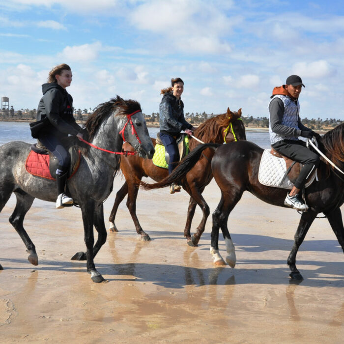 Balade cheval 1h
