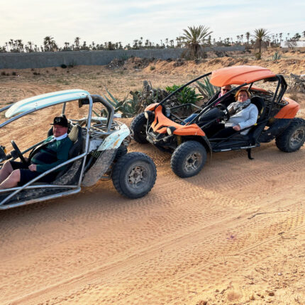 Balade en buggy vers l’ile de flamants roses Djerba Activities Dreams