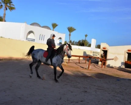 DALEL Djerba Activities Dreams