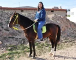 OMDA Djerba Activities Dreams