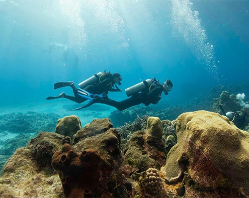 Plongée Marine Djerba Activities Dreams