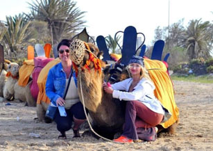 Galerie De Photos Djerba Activities Dreams