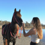 TAYENDEY Djerba Activities Dreams