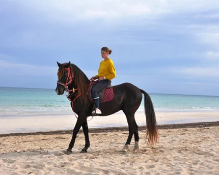 TAYENDEY Djerba Activities Dreams