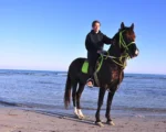 TAYENDEY Djerba Activities Dreams