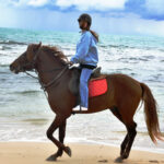 MINOUCH Djerba Activities Dreams