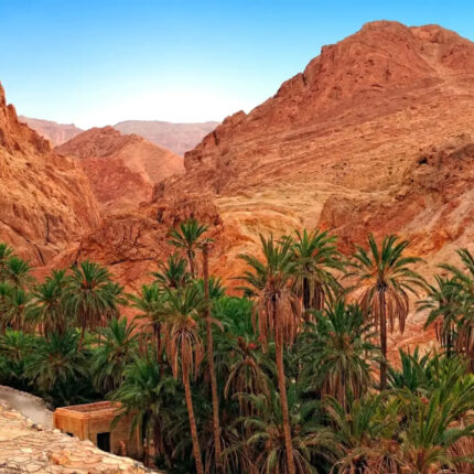 Tozeur et les oasis de montagne