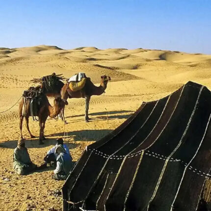 bivouac sauvage