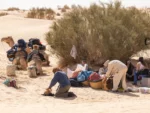 bivouac