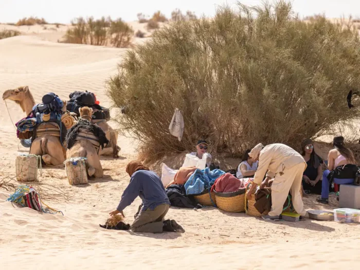 bivouac