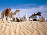 bivouac