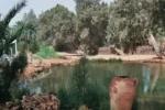 hot-spring