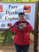 balade parc crocodile djerba