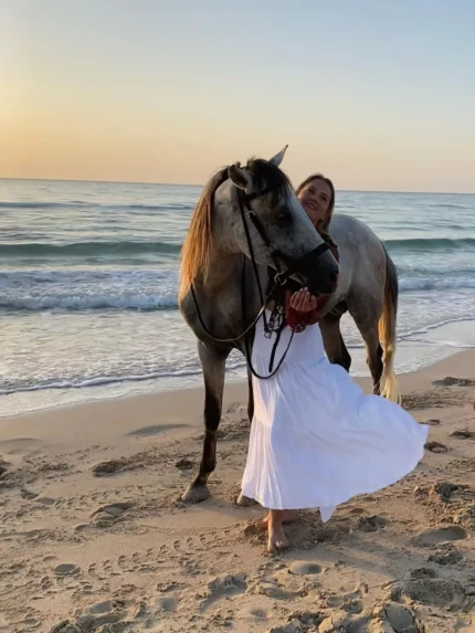 djerba activity haroun cheval