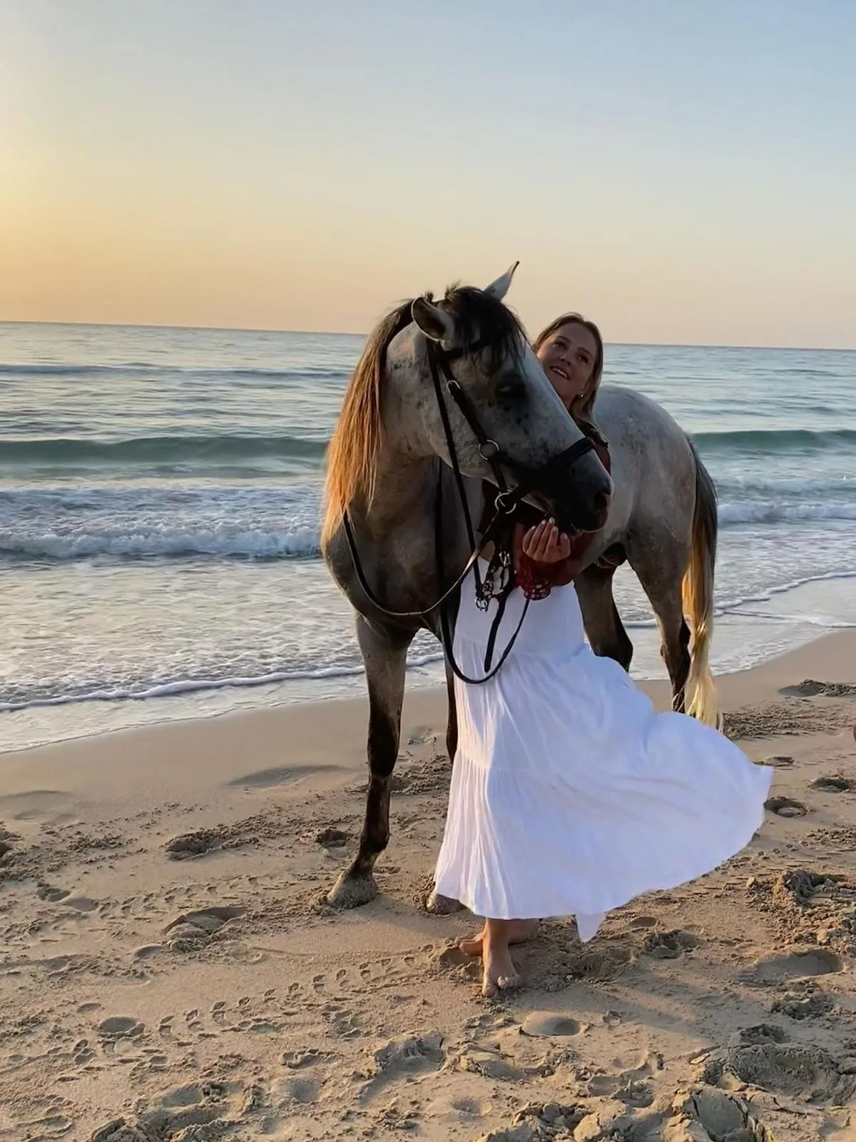 djerba activity haroun cheval