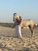 djerba activity haroun cheval