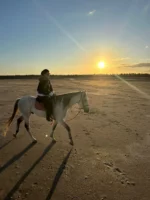 djerba activity haroun cheval