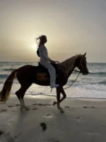 cheval calipso djerba