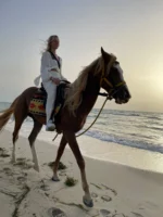 cheval calipso djerba dreams