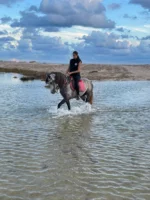 cheval djerba activity onix