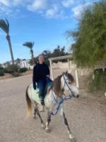cheval djerba tiktok activity dreams