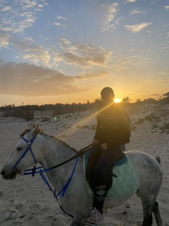 djerba activit cheval tikctok