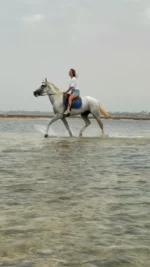 djerba cheval blanc leo