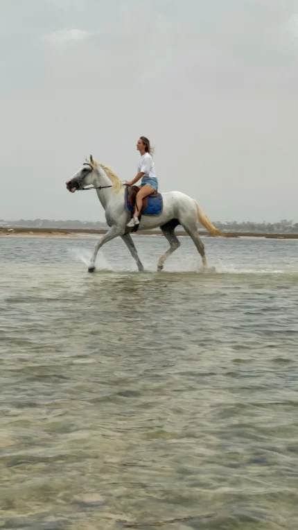 djerba cheval blanc leo